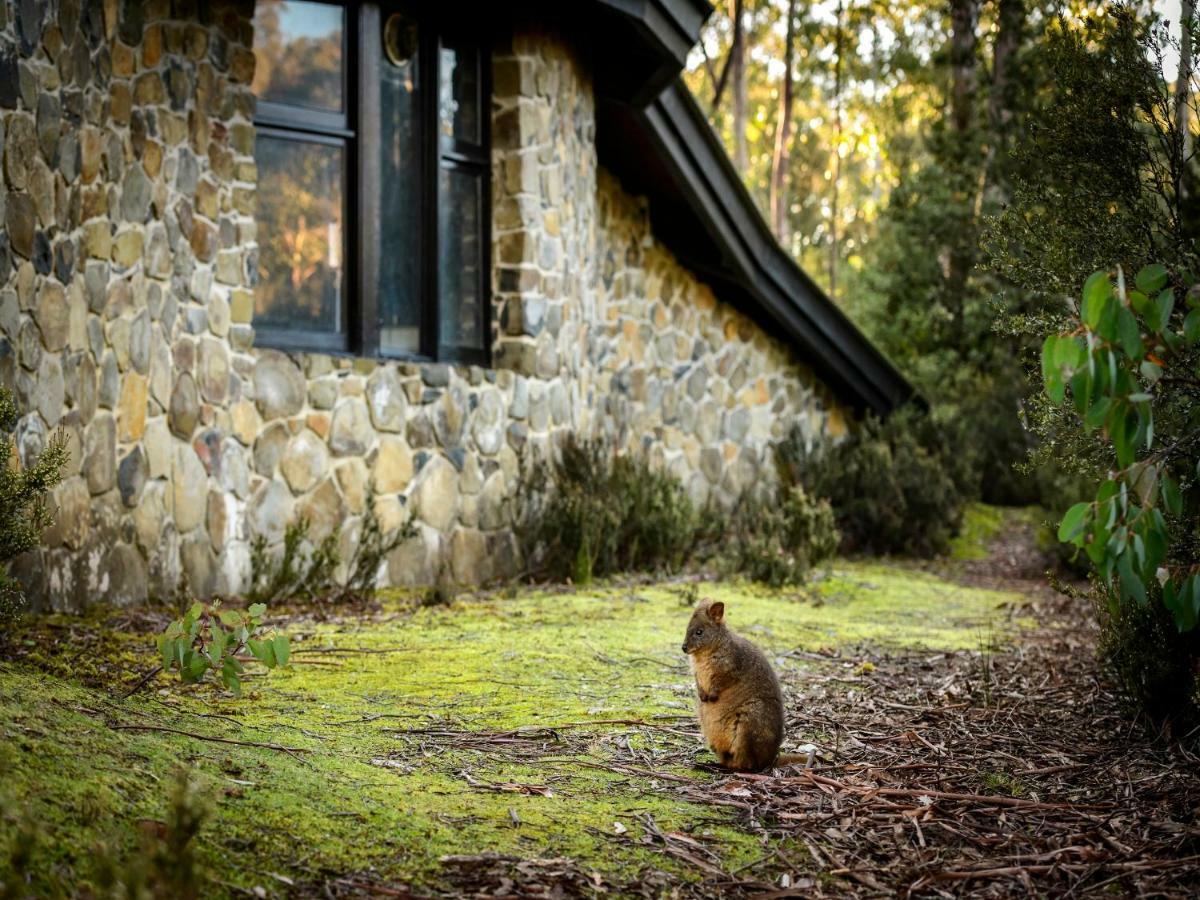 Discovery Parks - Cradle Mountain Dış mekan fotoğraf